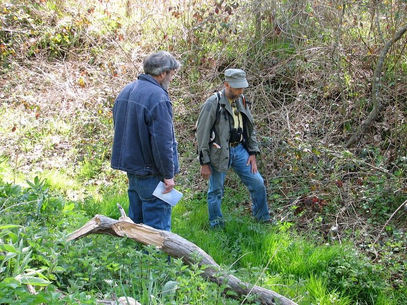 2010 04 Plantes sauvages comestibles 10